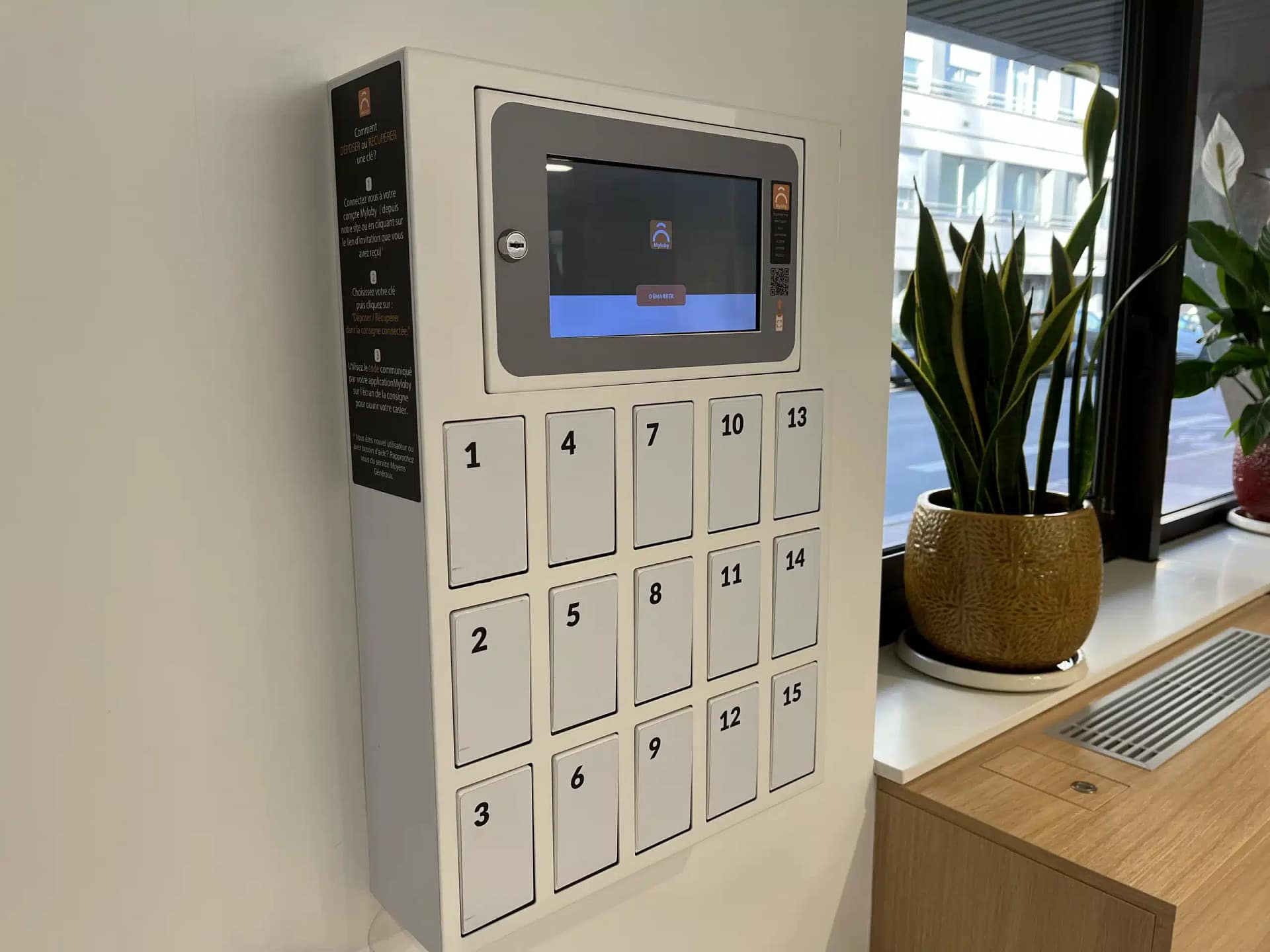 Armoire à Clés Murale MICEL - 45 Crochets, Serrure, Acier, Dimensions 24x30x7,5 Cm, Couleur Gris/beige